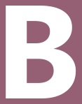 Bira 91 (B9 Beverages) logo