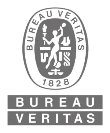Bureau Veritas India logo
