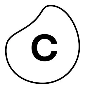 Celonis logo