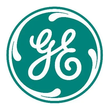 GE Vernova T&D India logo