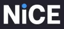 Nice logo