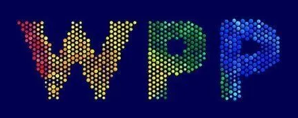 WPP India logo